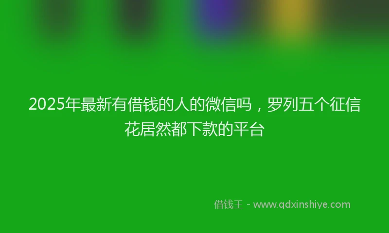 2025年最新有借钱的人的微信吗，罗列五个征信花居然都下款的平台