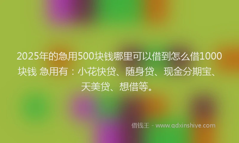 2025年的急用500块钱哪里可以借到怎么借1000块钱 急用有：小花快贷、随身贷、现金分期宝、天美贷、想借等。