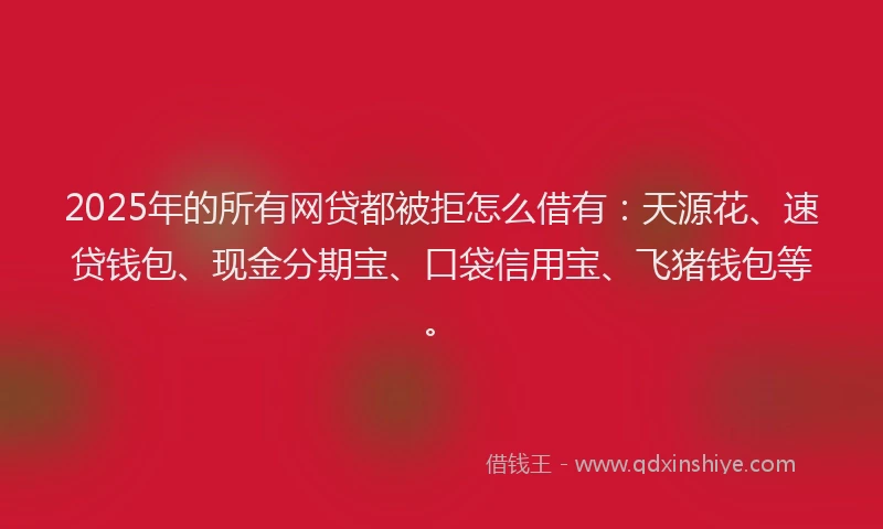2025年的所有网贷都被拒怎么借有：天源花、速贷钱包、现金分期宝、口袋信用宝、飞猪钱包等。