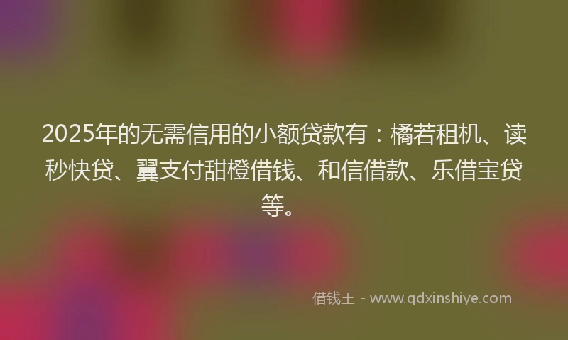 2025年的无需信用的小额贷款有：橘若租机、读秒快贷、翼支付甜橙借钱、和信借款、乐借宝贷等。