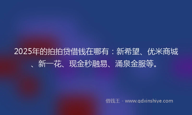 2025年的拍拍贷借钱在哪有：新希望、优米商城、新一花、现金秒融易、涌泉金服等。