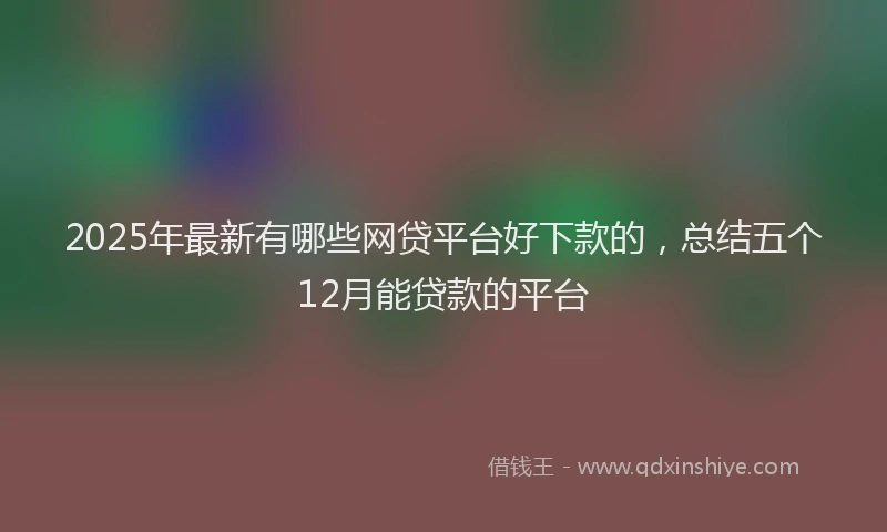2025年最新有哪些网贷平台好下款的，总结五个12月能贷款的平台