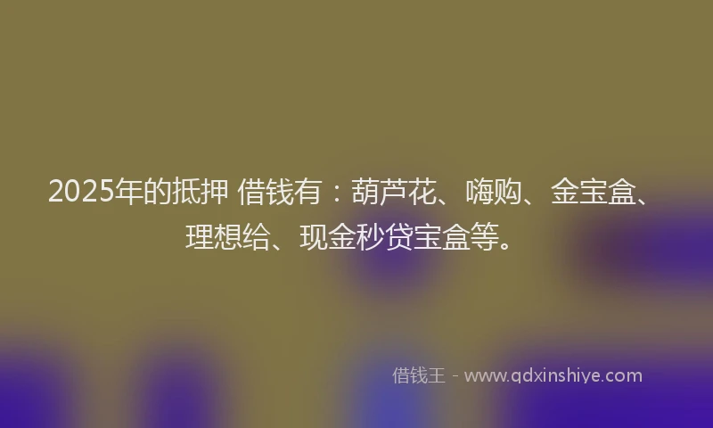 2025年的抵押 借钱有：葫芦花、嗨购、金宝盒、理想给、现金秒贷宝盒等。