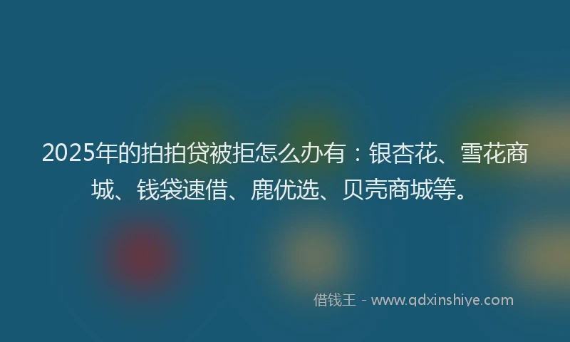 2025年的拍拍贷被拒怎么办有：银杏花、雪花商城、钱袋速借、鹿优选、贝壳商城等。