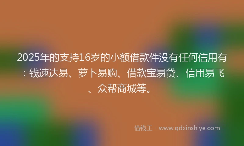 2025年的支持16岁的小额借款件没有任何信用有：钱速达易、萝卜易购、借款宝易贷、信用易飞、众帮商城等。