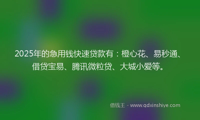 2025年的急用钱快速贷款有：橙心花、易秒通、借贷宝易、腾讯微粒贷、大城小爱等。