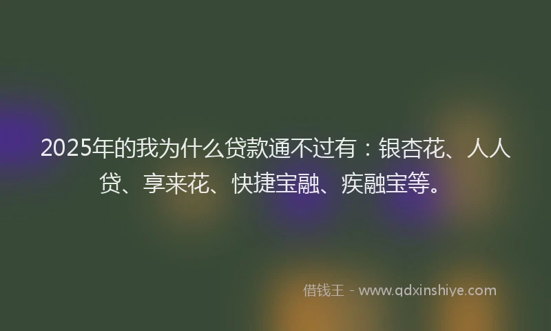 2025年的我为什么贷款通不过有：银杏花、人人贷、享来花、快捷宝融、疾融宝等。