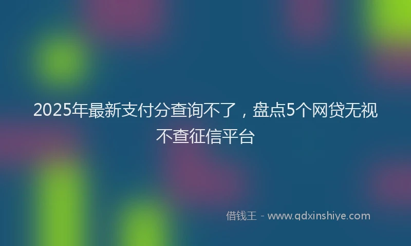 2025年最新支付分查询不了，盘点5个网贷无视不查征信平台