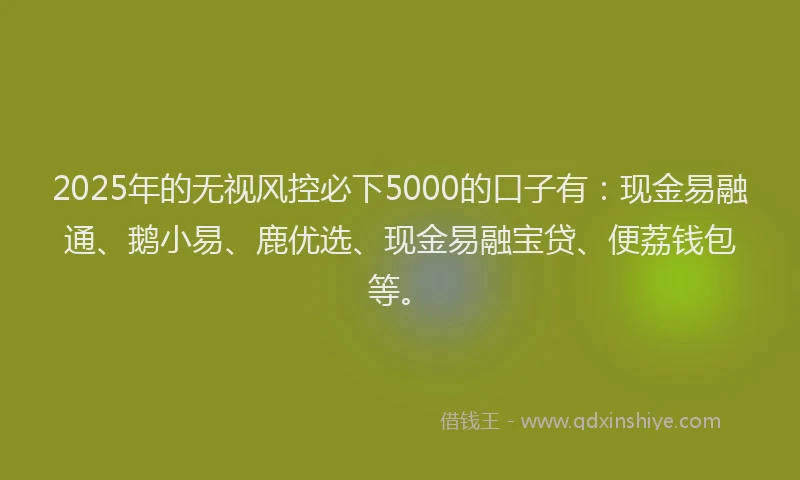 2025年的无视风控必下5000的口子有：现金易融通、鹅小易、鹿优选、现金易融宝贷、便荔钱包等。