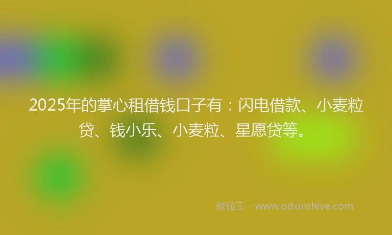 2025年的掌心租借钱口子有：闪电借款、小麦粒贷、钱小乐、小麦粒、星愿贷等。