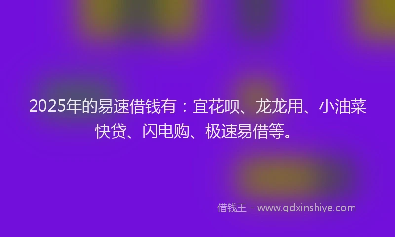 2025年的易速借钱有：宜花呗、龙龙用、小油菜快贷、闪电购、极速易借等。