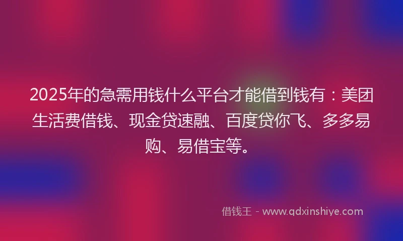 2025年的急需用钱什么平台才能借到钱有：美团生活费借钱、现金贷速融、百度贷你飞、多多易购、易借宝等。