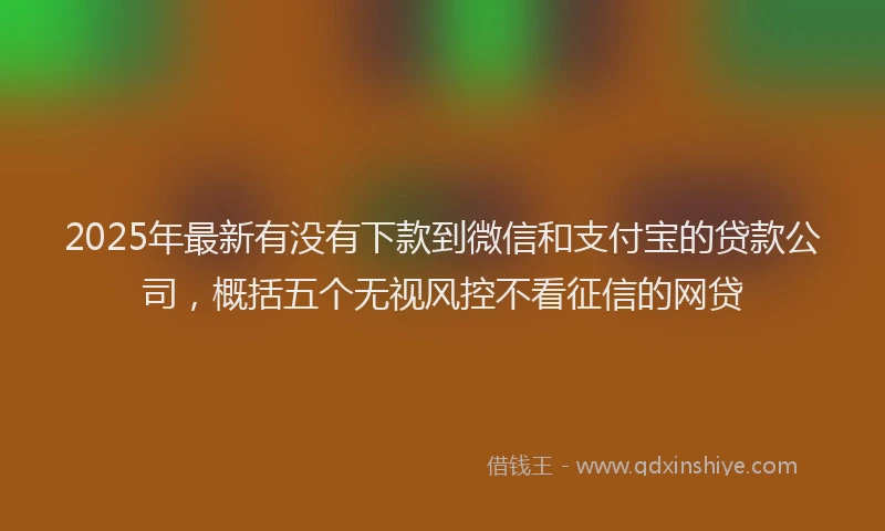 2025年最新有没有下款到微信和支付宝的贷款公司，概括五个无视风控不看征信的网贷