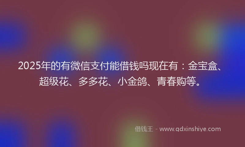 2025年的有微信支付能借钱吗现在有：金宝盒、超级花、多多花、小金鸽、青春购等。