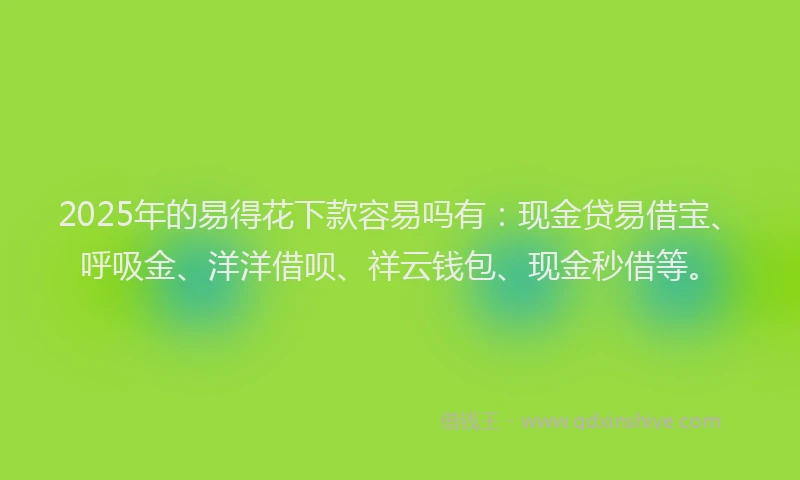 2025年的易得花下款容易吗有：现金贷易借宝、呼吸金、洋洋借呗、祥云钱包、现金秒借等。