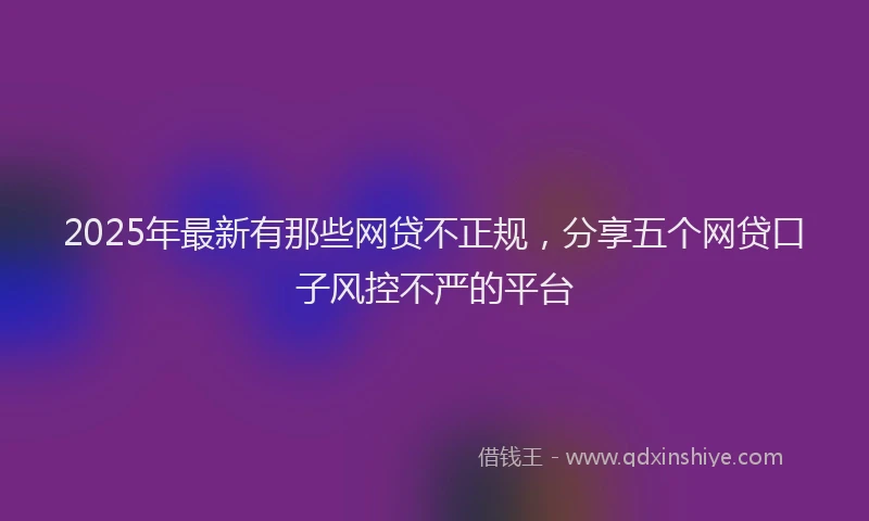 2025年最新有那些网贷不正规，分享五个网贷口子风控不严的平台