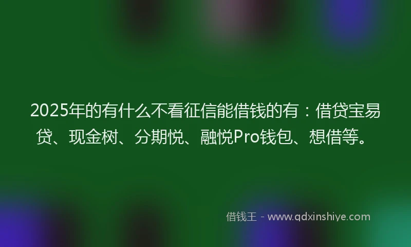 2025年的有什么不看征信能借钱的有：借贷宝易贷、现金树、分期悦、融悦Pro钱包、想借等。