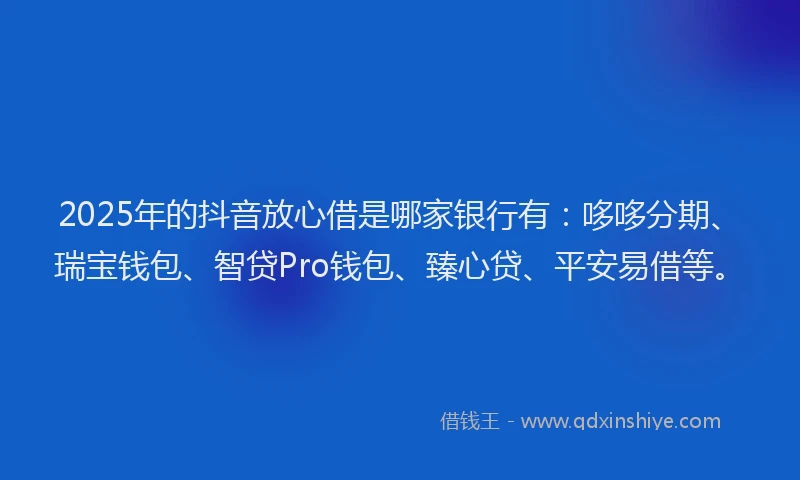2025年的抖音放心借是哪家银行有：哆哆分期、瑞宝钱包、智贷Pro钱包、臻心贷、平安易借等。