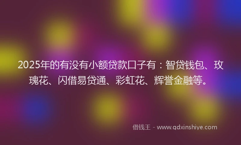 2025年的有没有小额贷款口子有：智贷钱包、玫瑰花、闪借易贷通、彩虹花、辉誉金融等。