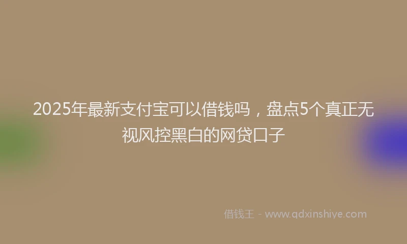 2025年最新支付宝可以借钱吗，盘点5个真正无视风控黑白的网贷口子