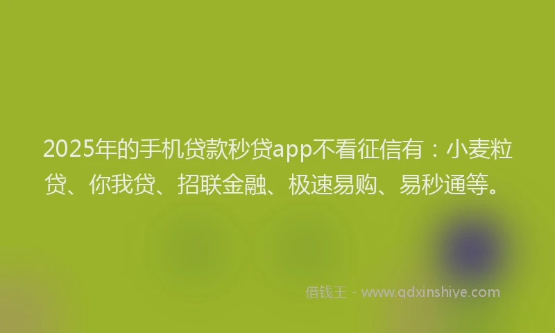 2025年的手机贷款秒贷app不看征信有：小麦粒贷、你我贷、招联金融、极速易购、易秒通等。