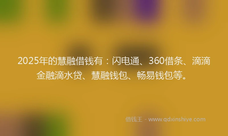 2025年的慧融借钱有：闪电通、360借条、滴滴金融滴水贷、慧融钱包、畅易钱包等。