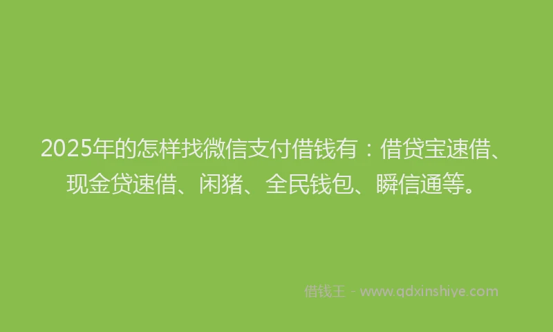 2025年的怎样找微信支付借钱有：借贷宝速借、现金贷速借、闲猪、全民钱包、瞬信通等。