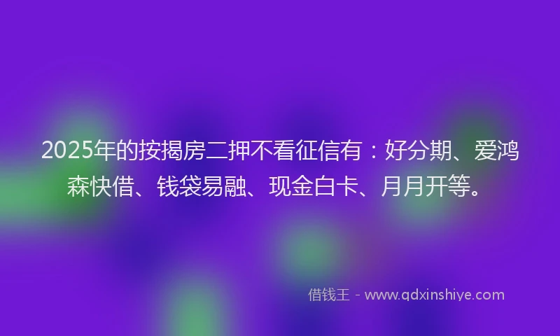 2025年的按揭房二押不看征信有：好分期、爱鸿森快借、钱袋易融、现金白卡、月月开等。