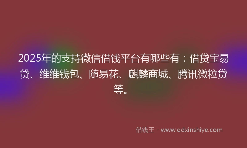 2025年的支持微信借钱平台有哪些有：借贷宝易贷、维维钱包、随易花、麒麟商城、腾讯微粒贷等。