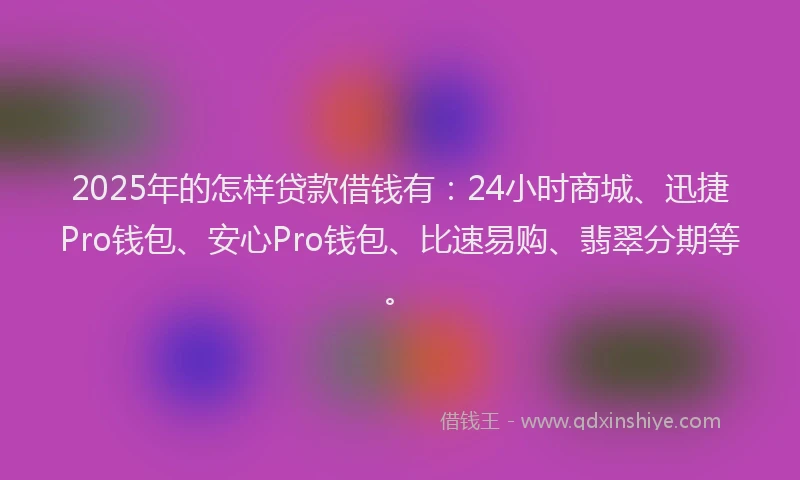 2025年的怎样贷款借钱有：24小时商城、迅捷Pro钱包、安心Pro钱包、比速易购、翡翠分期等。