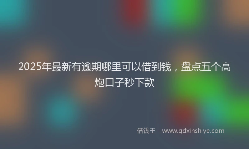2025年最新有逾期哪里可以借到钱，盘点五个高炮口子秒下款