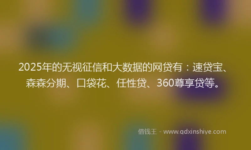2025年的无视征信和大数据的网贷有：速贷宝、森森分期、口袋花、任性贷、360尊享贷等。