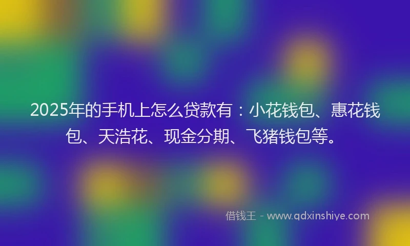 2025年的手机上怎么贷款有：小花钱包、惠花钱包、天浩花、现金分期、飞猪钱包等。