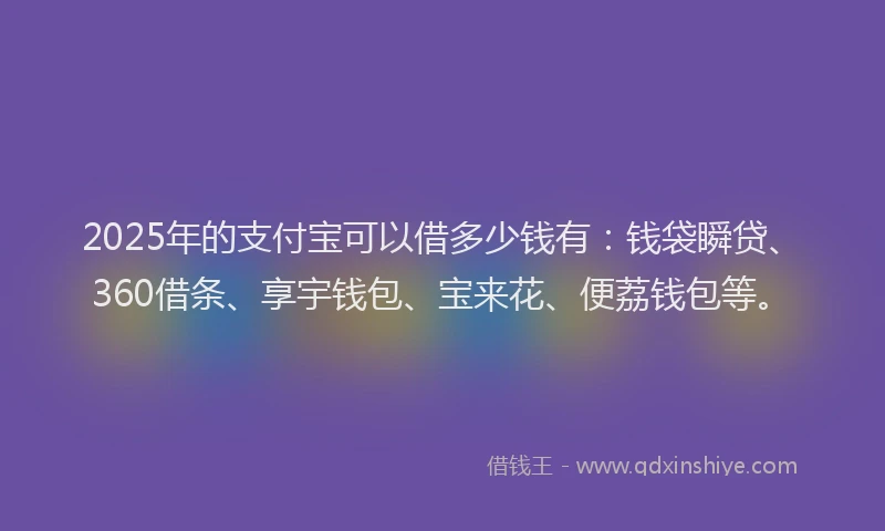 2025年的支付宝可以借多少钱有：钱袋瞬贷、360借条、享宇钱包、宝来花、便荔钱包等。