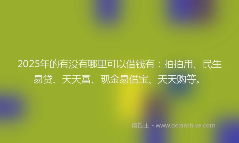 2025年的有没有哪里可以借钱有：拍拍用、民生易贷、天天富、现金易借宝、天天购等。