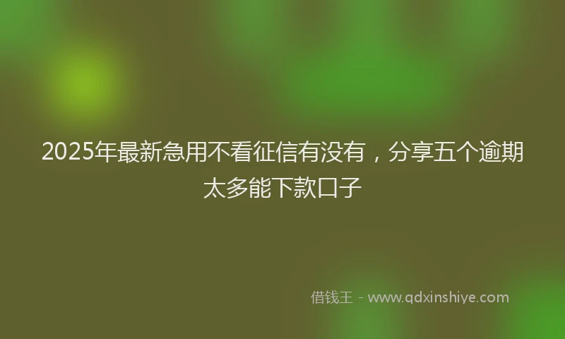2025年最新急用不看征信有没有，分享五个逾期太多能下款口子