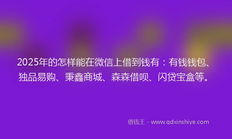 2025年的怎样能在微信上借到钱有：有钱钱包、独品易购、秉鑫商城、森森借呗、闪贷宝盒等。