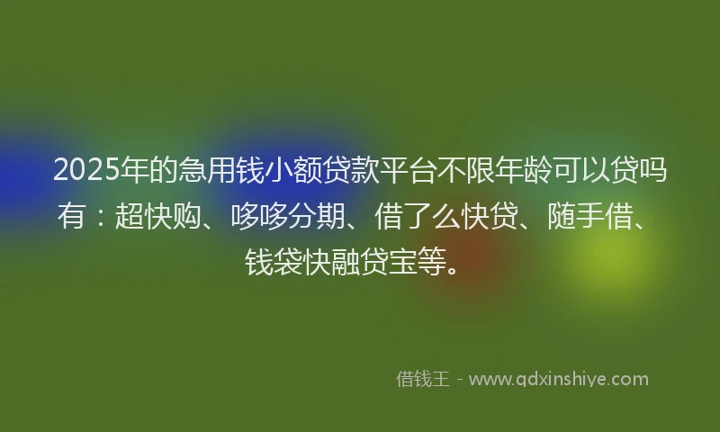 2025年的急用钱小额贷款平台不限年龄可以贷吗有：超快购、哆哆分期、借了么快贷、随手借、钱袋快融贷宝等。