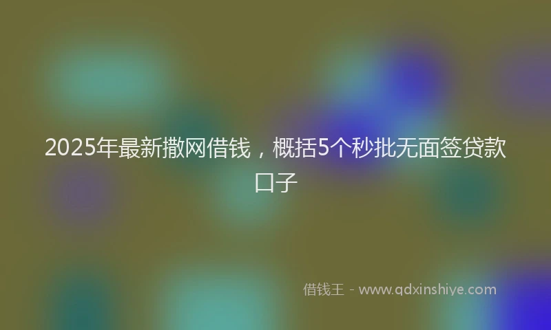 2025年最新撒网借钱,概括5个秒批无面签贷款口子