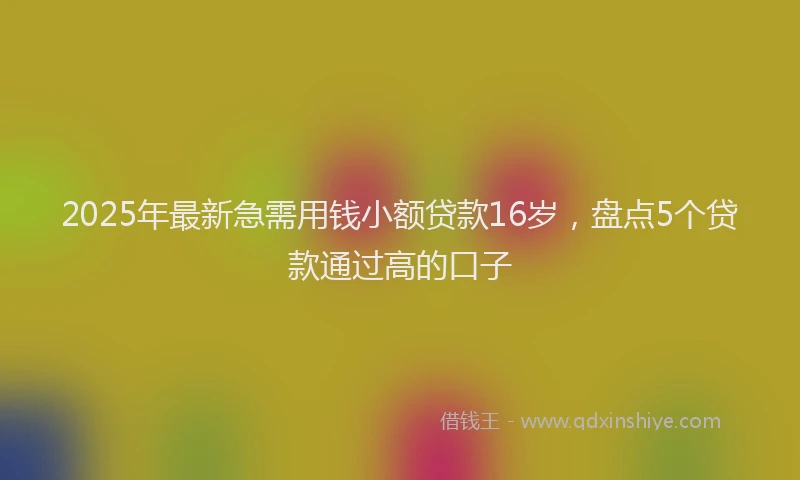 2025年最新急需用钱小额贷款16岁，盘点5个贷款通过高的口子