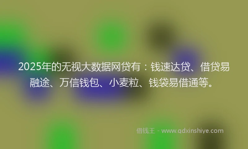 2025年的无视大数据网贷有：钱速达贷、借贷易融途、万信钱包、小麦粒、钱袋易借通等。