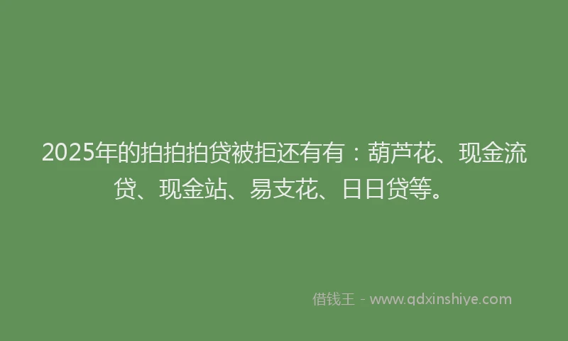 2025年的拍拍拍贷被拒还有有：葫芦花、现金流贷、现金站、易支花、日日贷等。