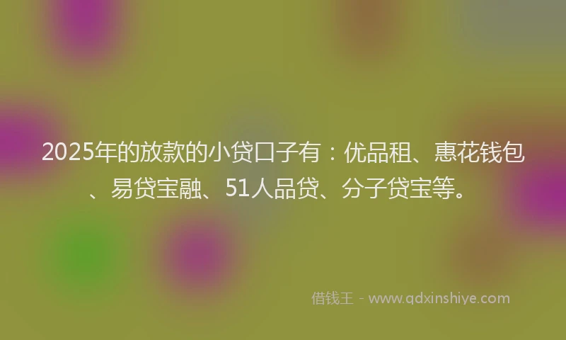 2025年的放款的小贷口子有：优品租、惠花钱包、易贷宝融、51人品贷、分子贷宝等。