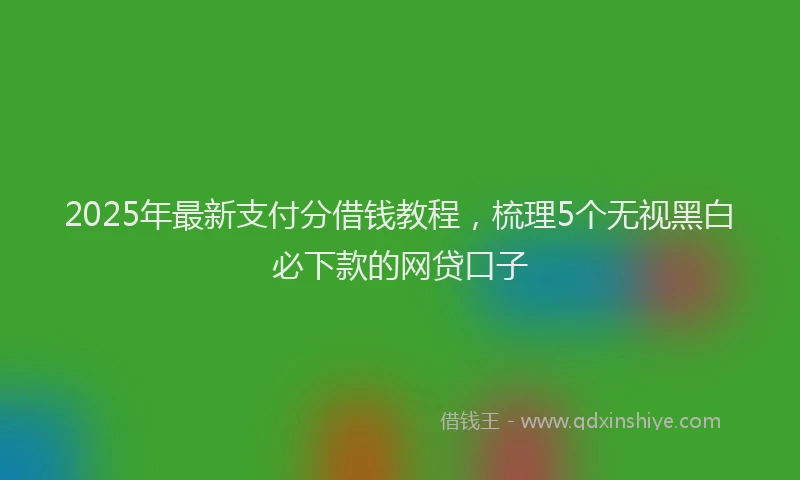 2025年最新支付分借钱教程，梳理5个无视黑白必下款的网贷口子