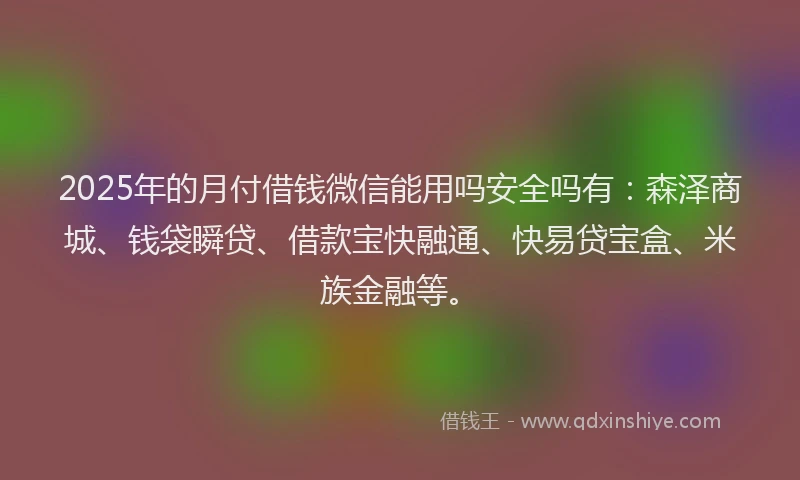 2025年的月付借钱微信能用吗安全吗有：森泽商城、钱袋瞬贷、借款宝快融通、快易贷宝盒、米族金融等。