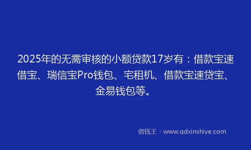 2025年的无需审核的小额贷款17岁有：借款宝速借宝、瑞信宝Pro钱包、宅租机、借款宝速贷宝、金易钱包等。