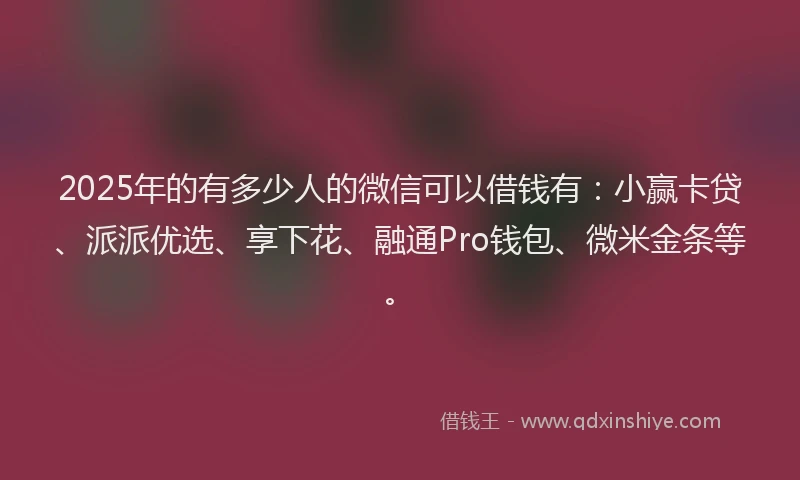 2025年的有多少人的微信可以借钱有：小赢卡贷、派派优选、享下花、融通Pro钱包、微米金条等。