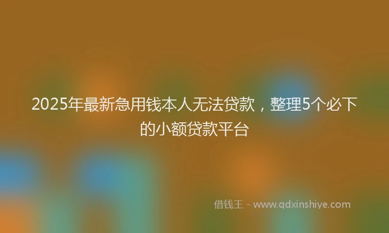 2025年最新急用钱本人无法贷款，整理5个必下的小额贷款平台