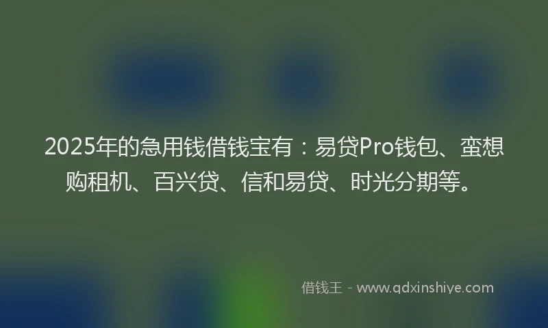 2025年的急用钱借钱宝有：易贷Pro钱包、蛮想购租机、百兴贷、信和易贷、时光分期等。