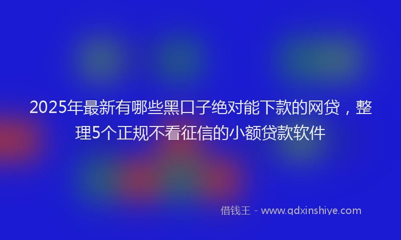 2025年最新有哪些黑口子绝对能下款的网贷，整理5个正规不看征信的小额贷款软件